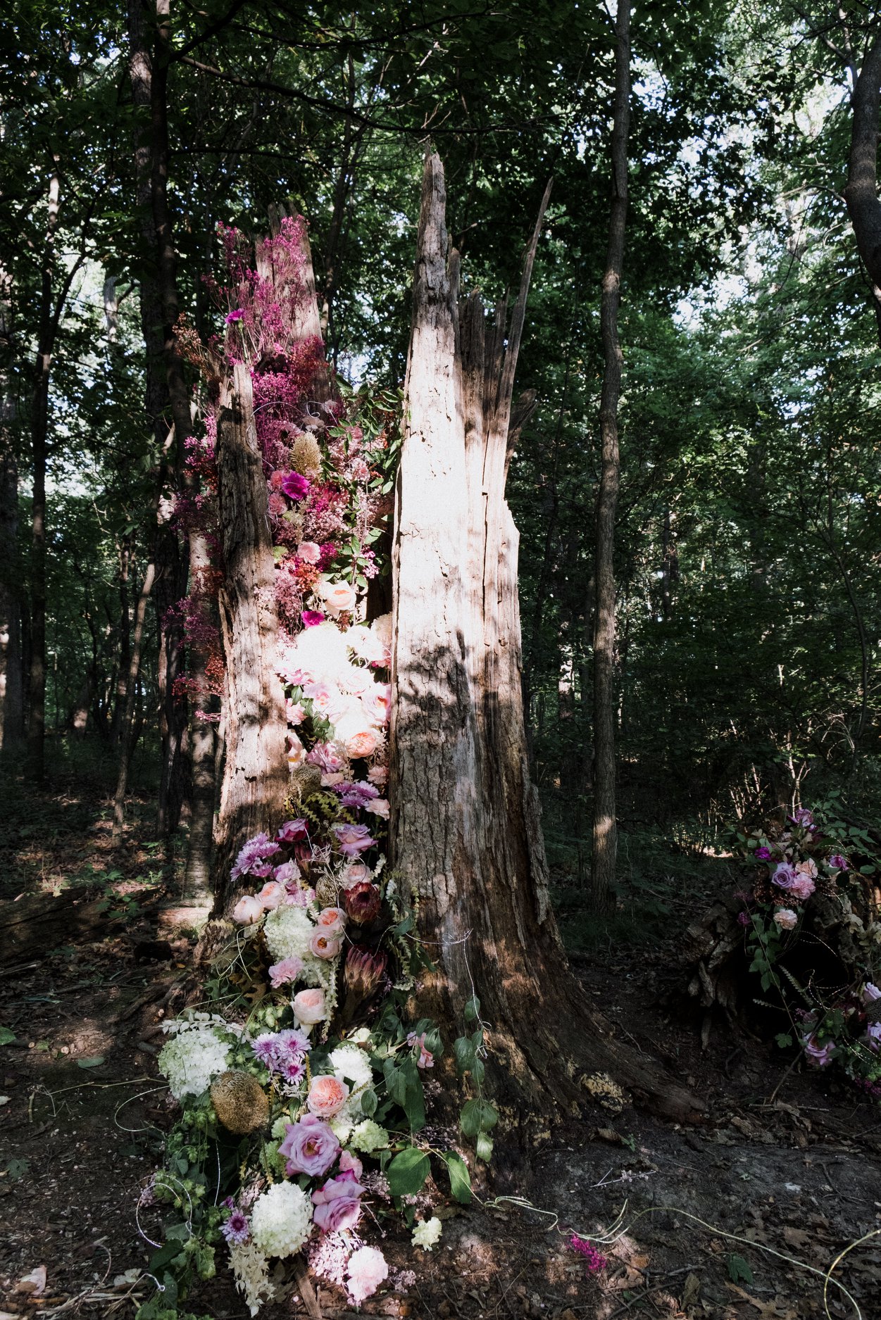 Katie Alexis Photography