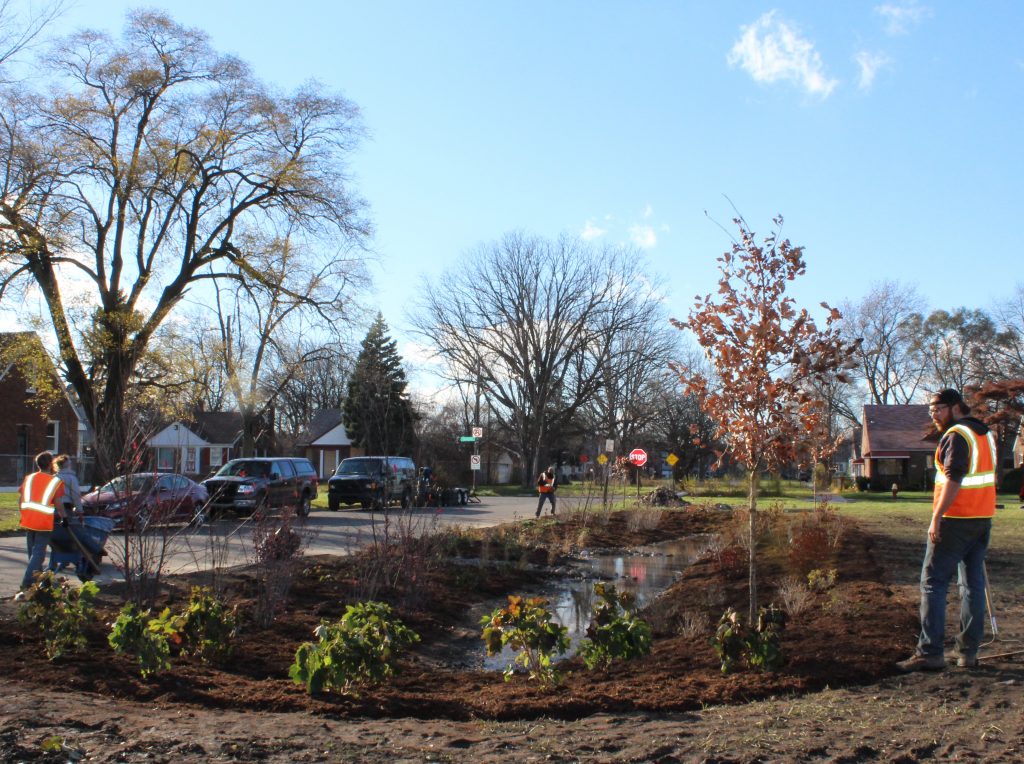 Bioswale Stein Park