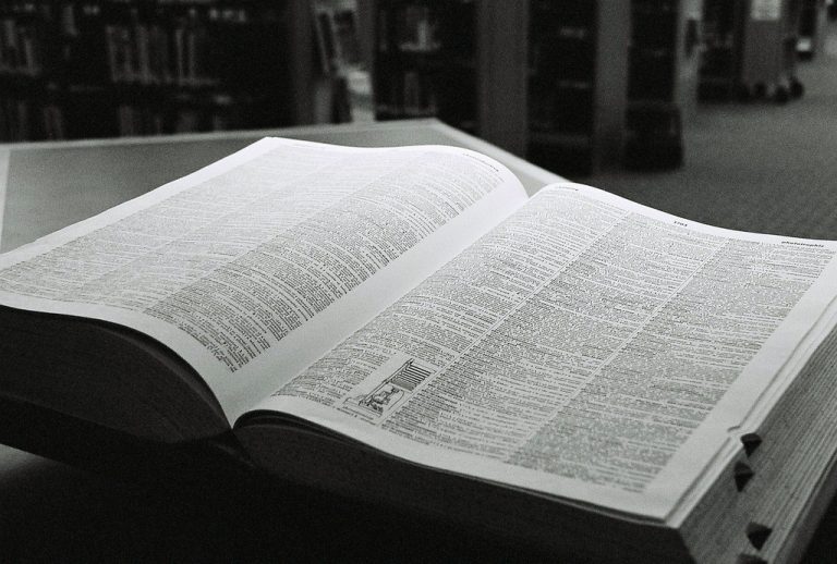 Dictionary words