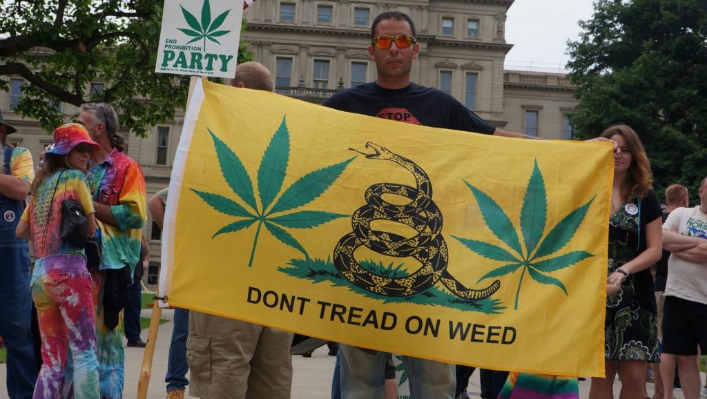 A photo of a man holding a marijuana sign at Michigan's capital.