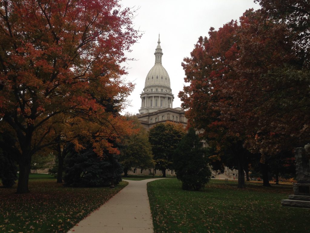 Michigan Capitol Fall