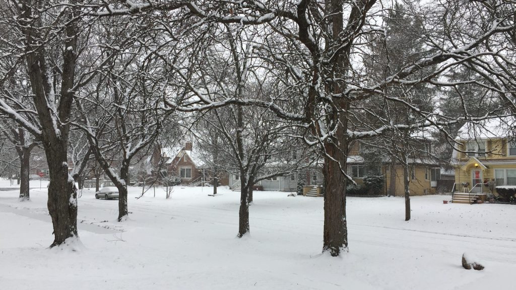 A snowy neighborhood in Detroit