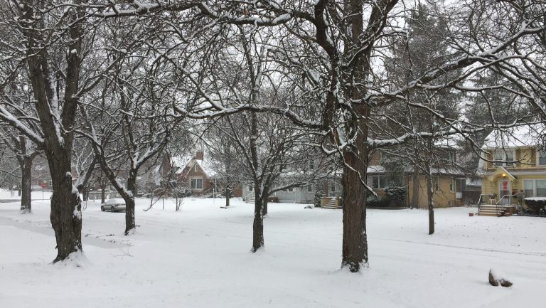 A snowy neighborhood in Detroit