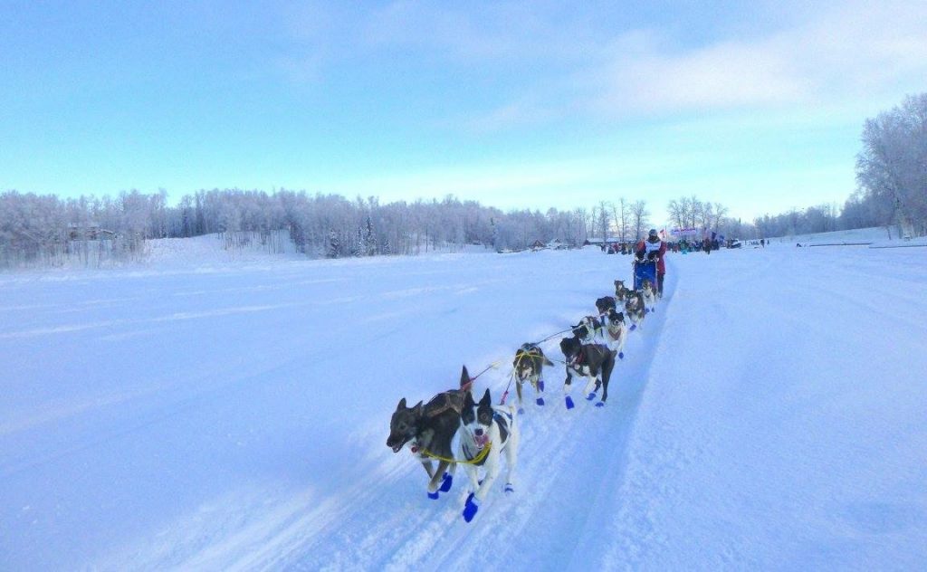 Hannah Mahoney Jr. Iditarod 2 4.5.16-jn