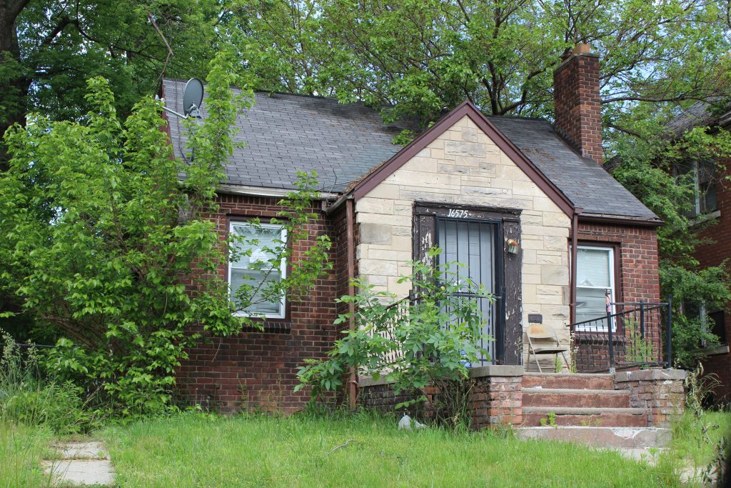 Tax Foreclosed House Detroit No Sign LH