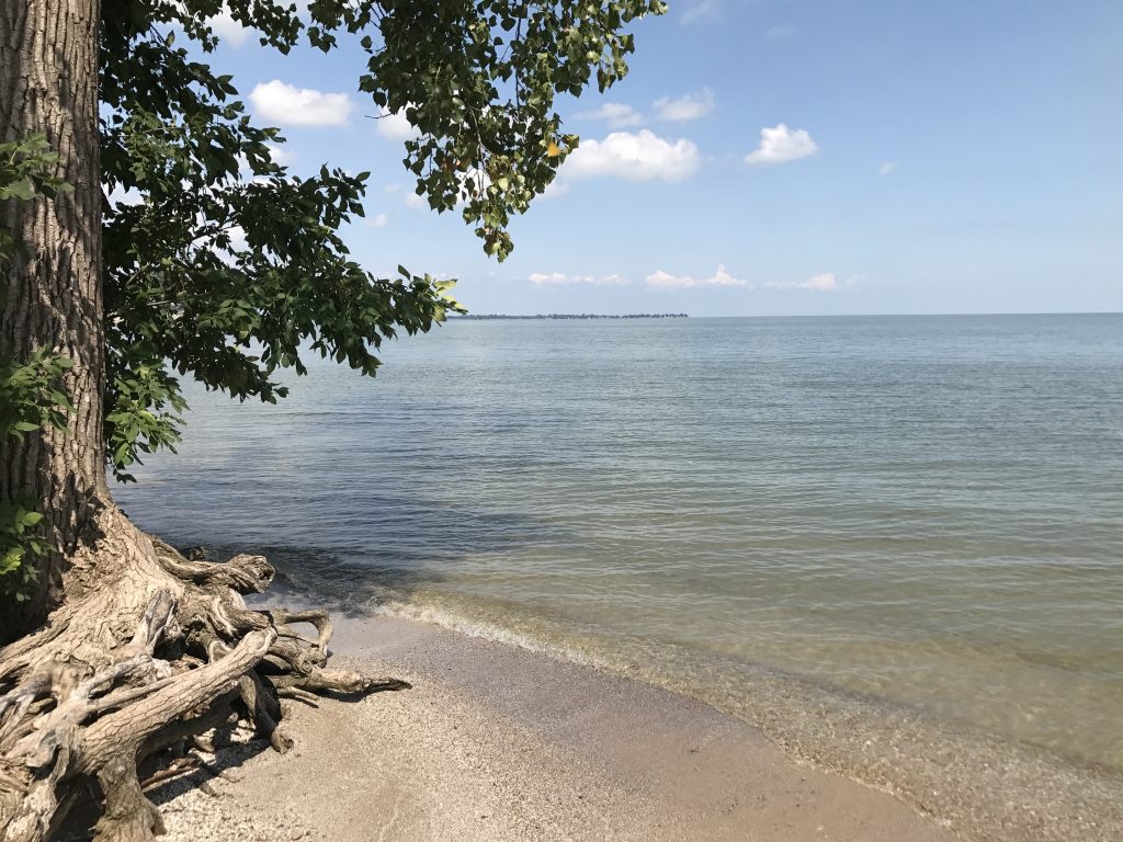 Lake Erie Sterling State Park 1 081517 pb