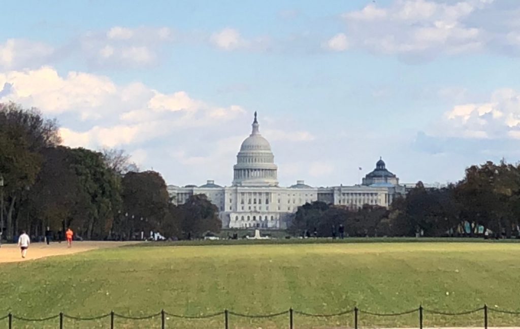 U.S. Capitol Washington DC Congress 2