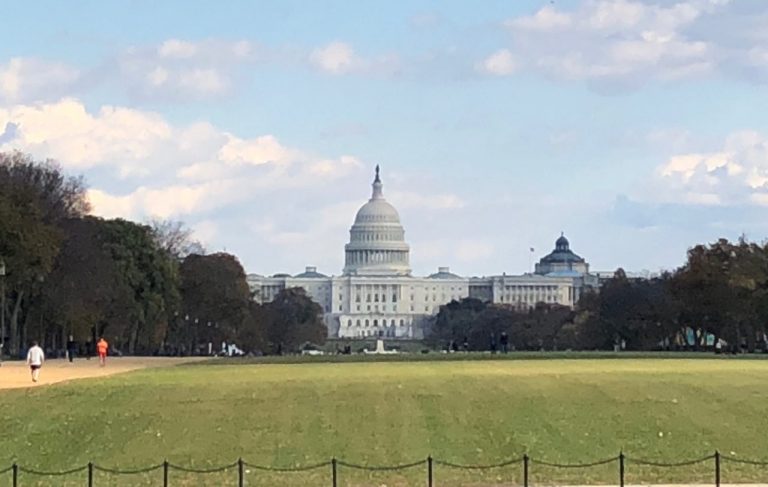 U.S. Capitol Washington DC Congress 2