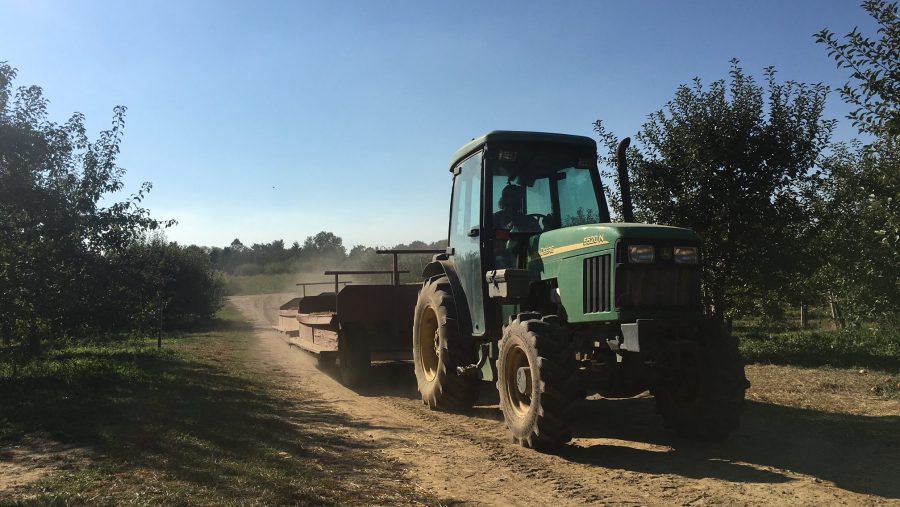 Farm Agriculture Tractor Big Red Apple Orchard