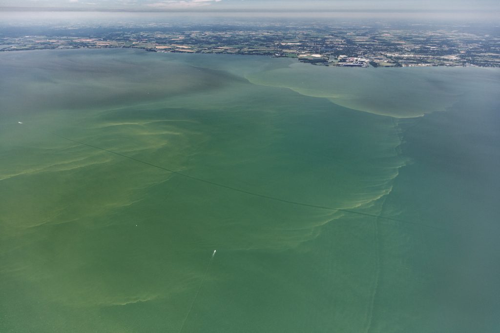 Lake Erie Harmful Algal Bloom 03/01/2019