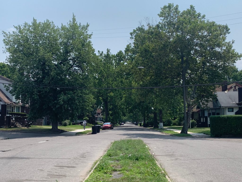 Algonquin Street Today 07/30/2019