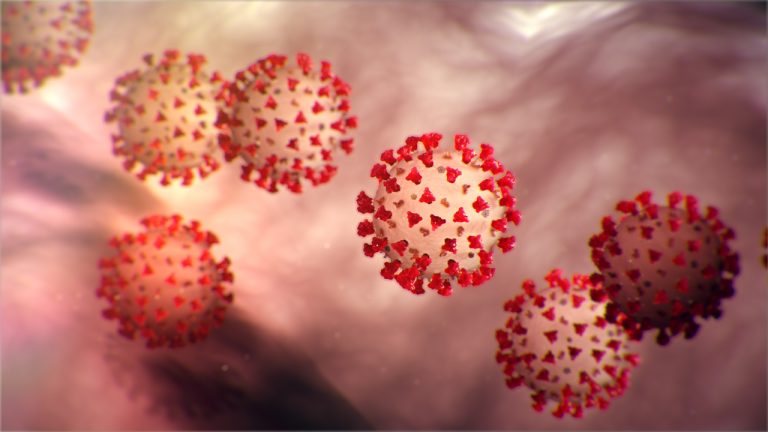 2019 Novel Coronavirus