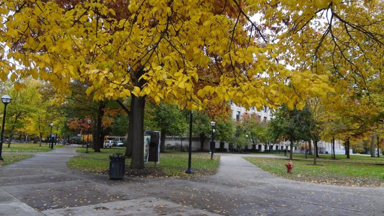 University of Michigan Diag