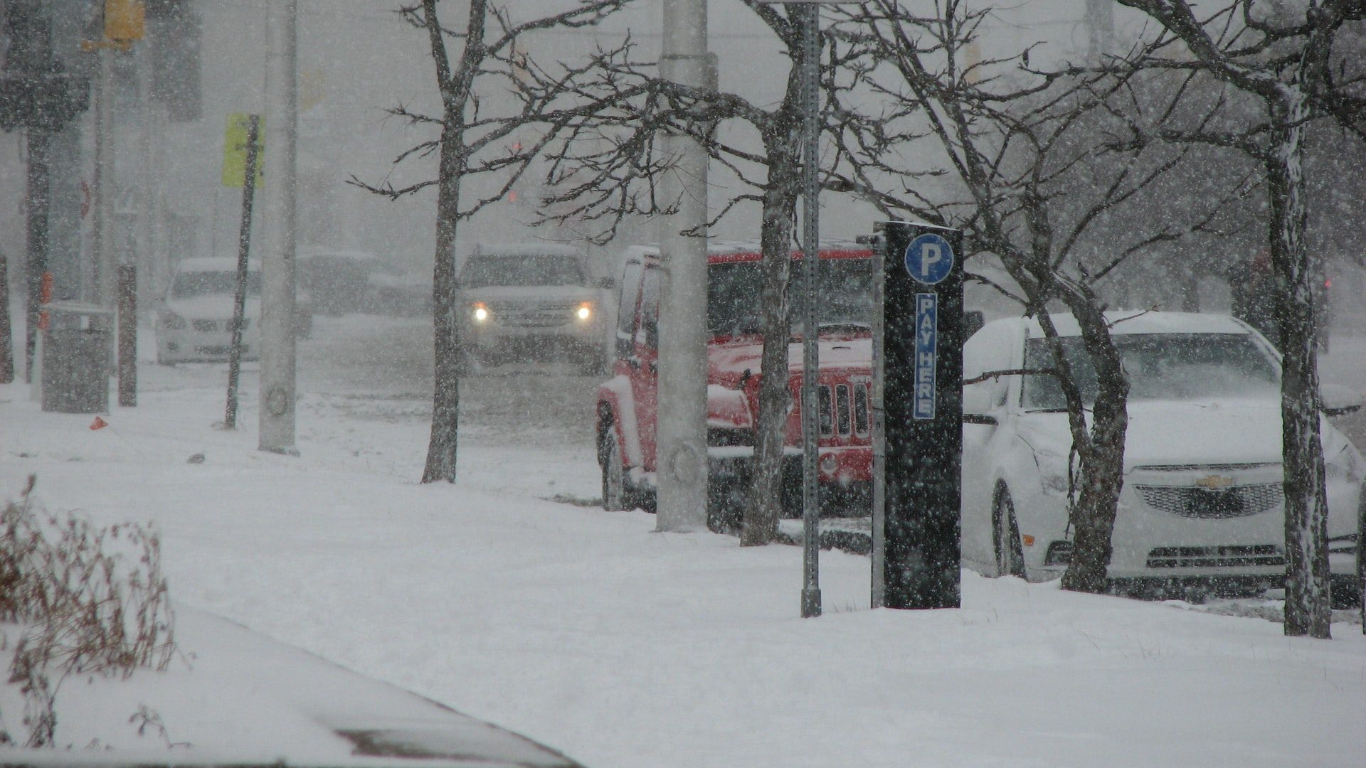 Cars driving during in snow.