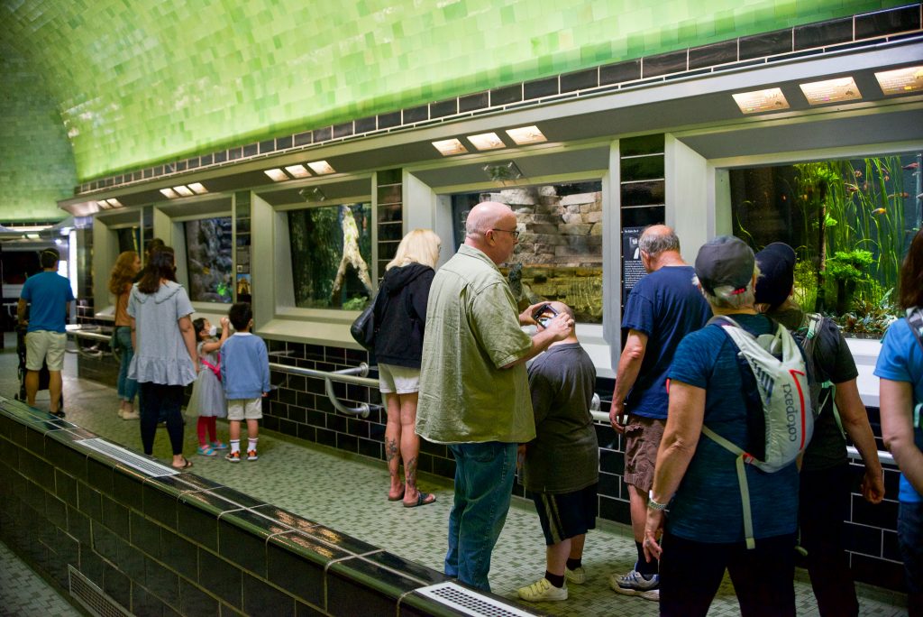 belle isle aquarium