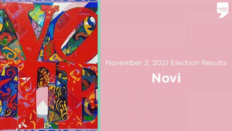 novi election results nov 2 2021