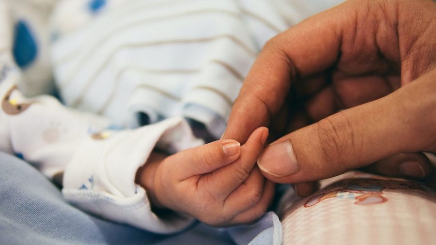 an adult hand holds an infant's hand