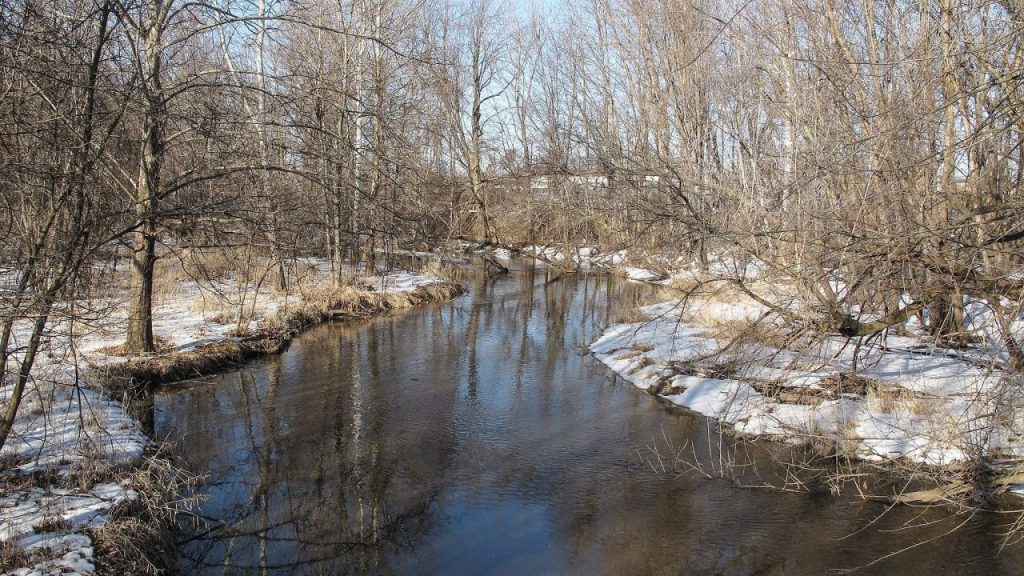 Sycamore Creek Lansing