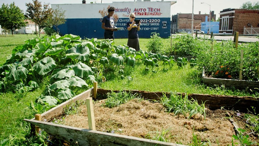 detroit urban agriculture