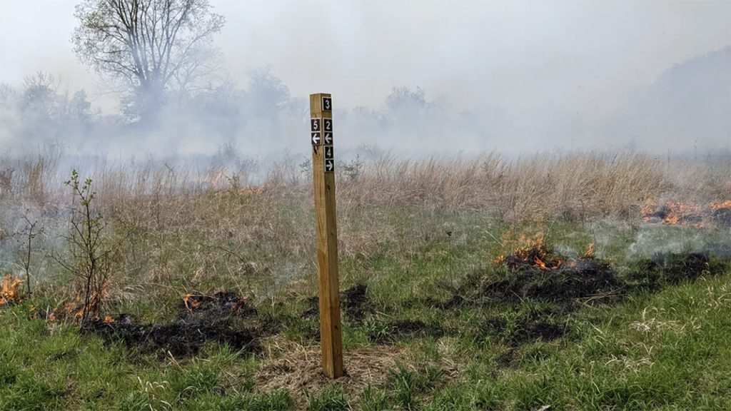 Rouge Park controlled burn