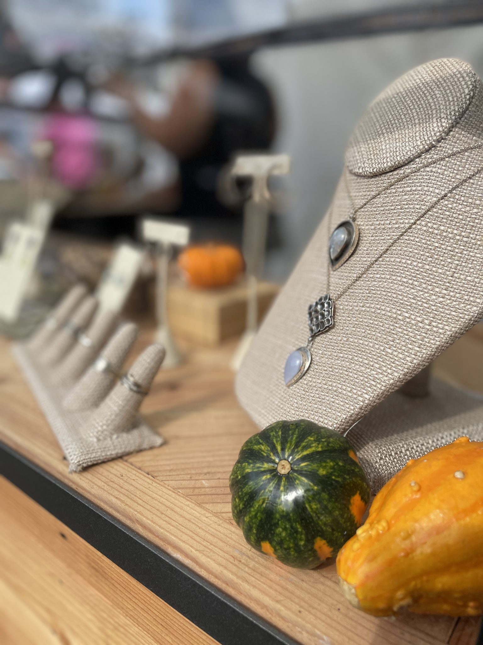 silver rings and necklaces on display with gourds at A2 Artoberfest