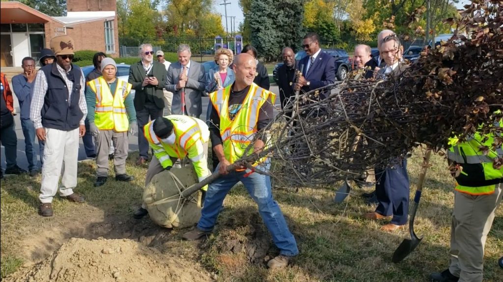 Tree equity program planting