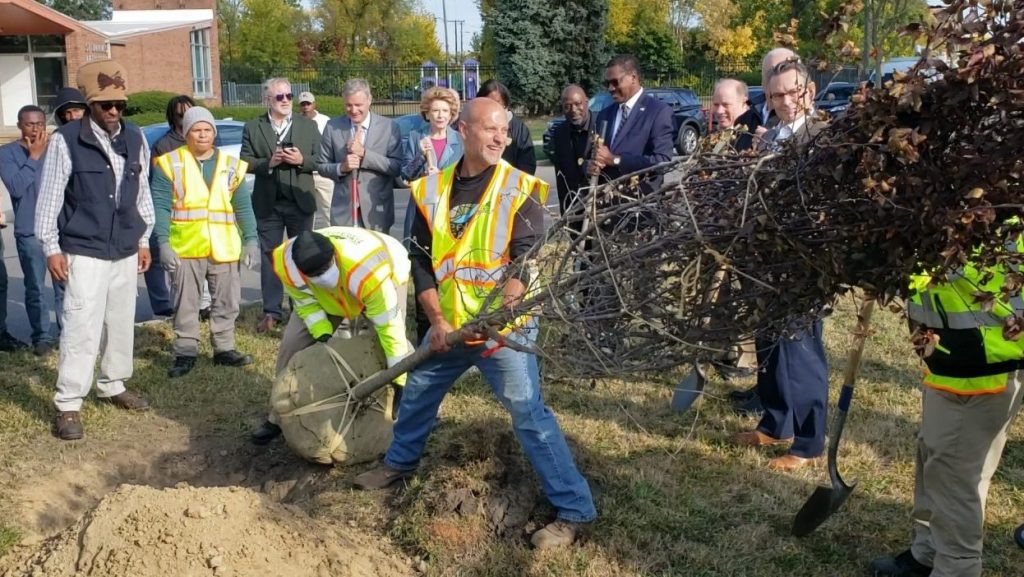 Detroit has partnered with the nonprofit American Forests, and a number of other state and local conservation groups, on an initiative to grow more trees in the city.