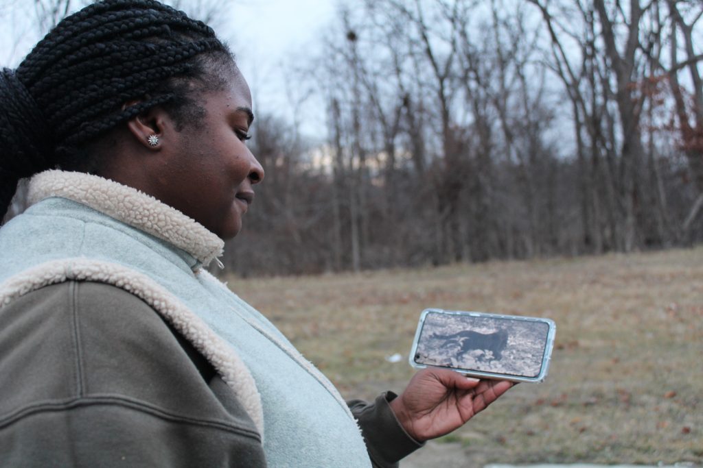 Researcher looks at an image of a cat holding a rabbit in its mouth. The image was taken in a Detroit park and is part of an ongoing research project on urban wildlife.