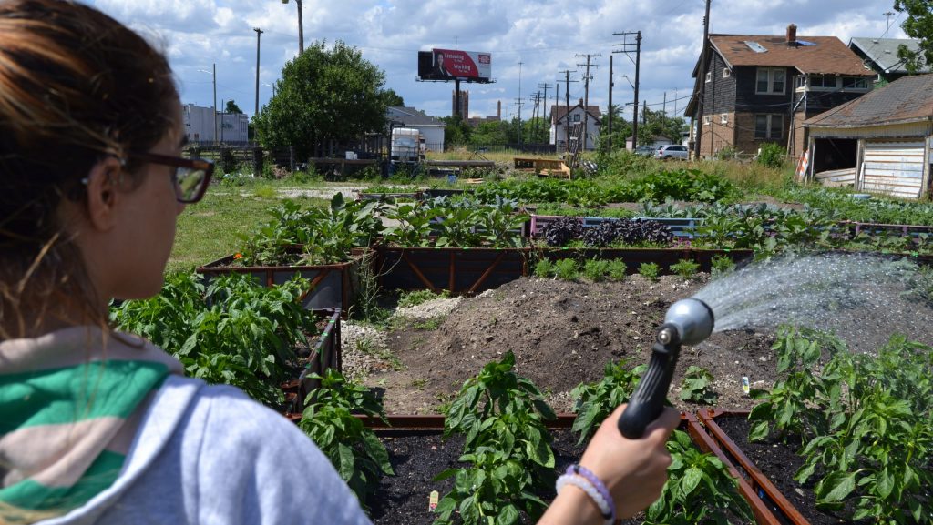 HUDA urban garden