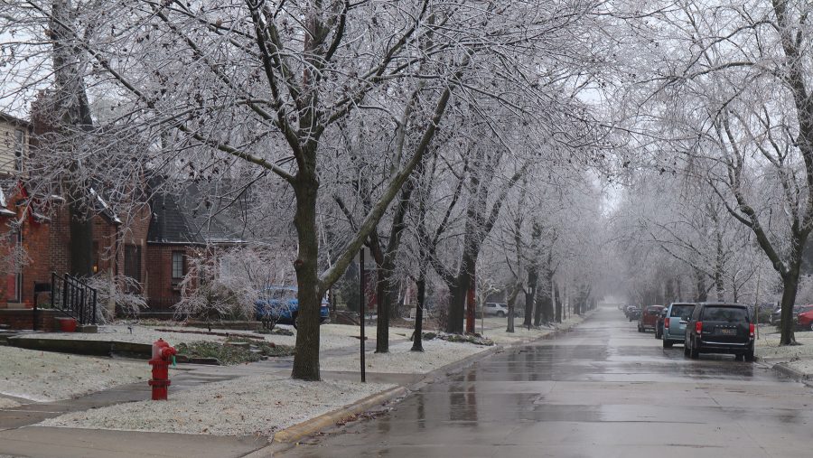 Ice covers trees and power lines in a Royal Oak neighborhood.