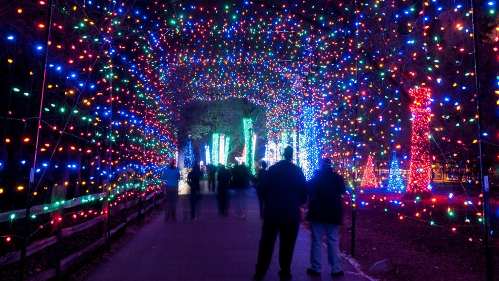 Wild Lights at the Detroit Zoo