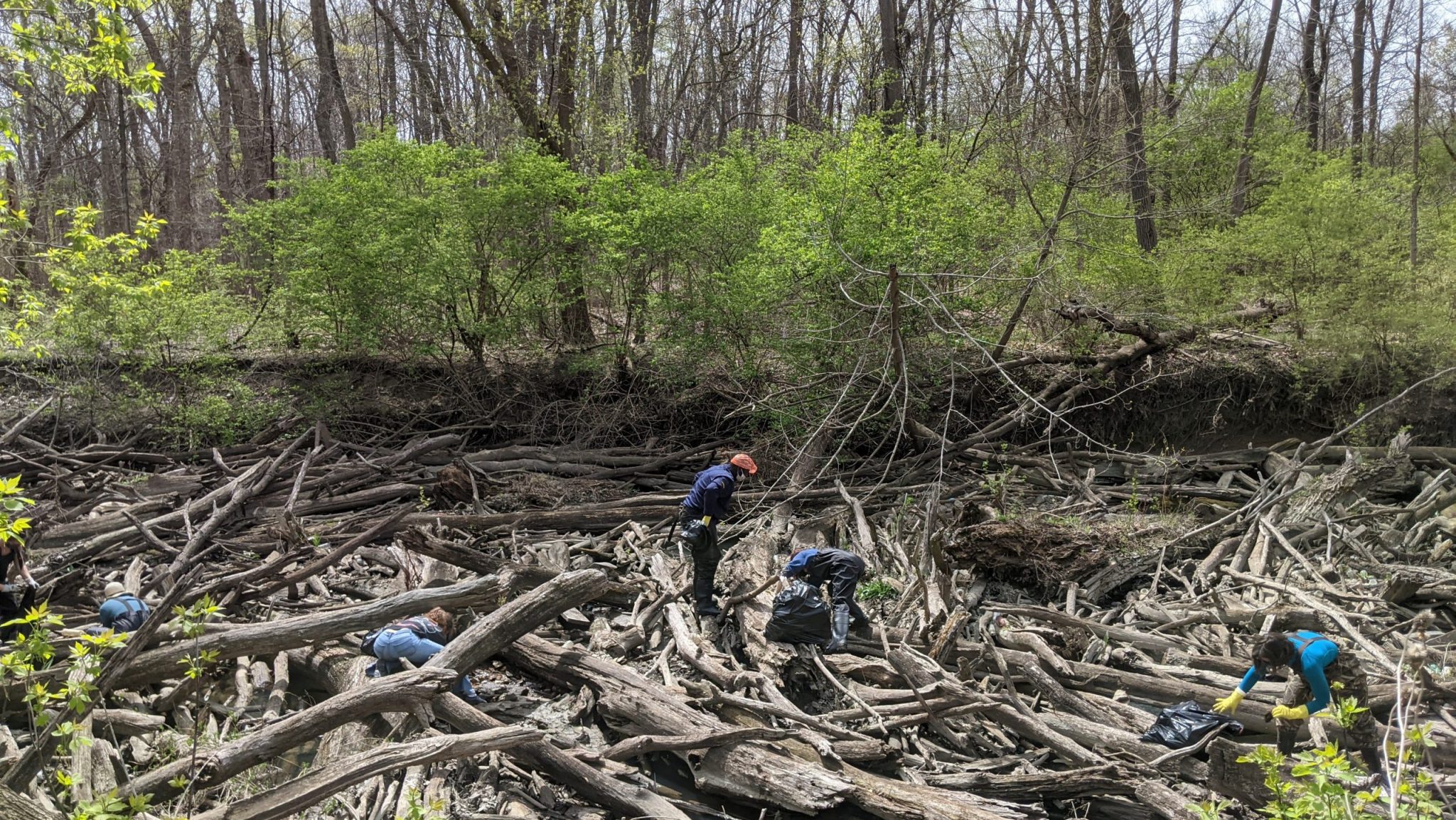 This year's Eco-Artist-in-Residence at Eliza Howell Park, Halima Cassells, will be using materials and waste collected during an Earth Day River Clean-up in her upcoming art installation.