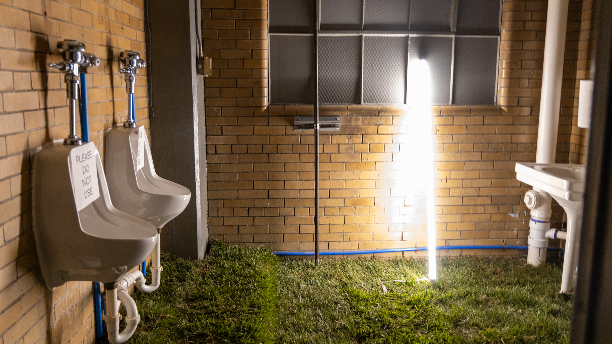 The grass set inside the Boyer Campbell Building in Detroit for the Petrichor botanical art installation on May 30, 2024. (Photo credit: Tayler Simpson, WDET)