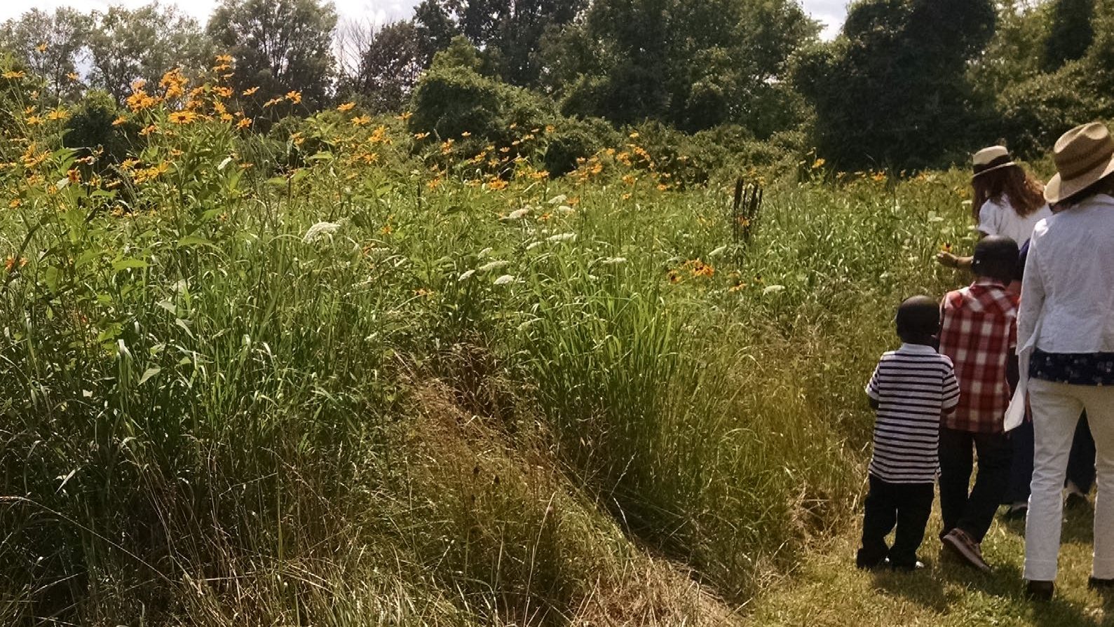 Residents enjoy a "butterfly walk" in Rouge Park.