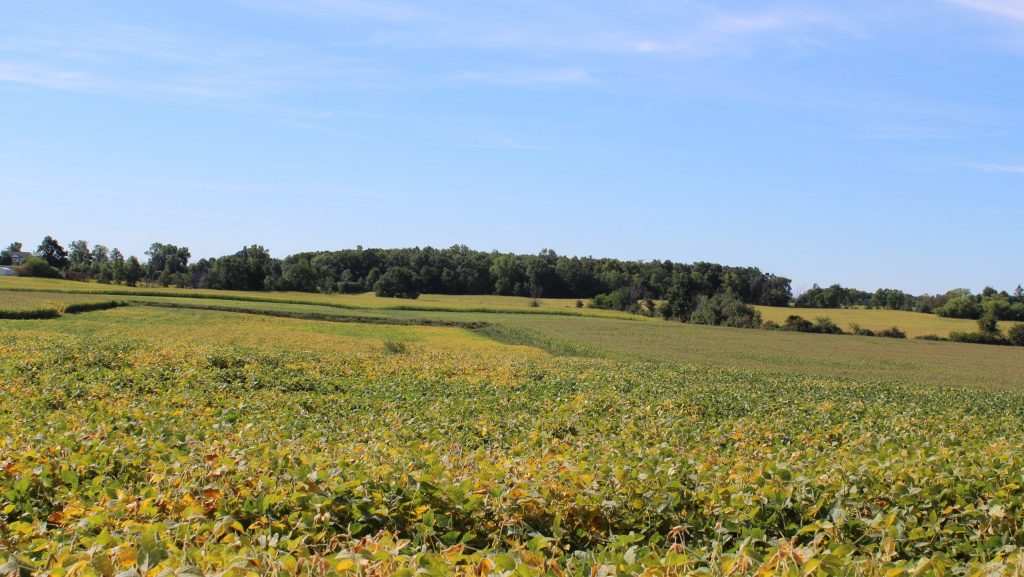 Lodi Township is located in Washtenaw County, just southwest of Ann Arbor.