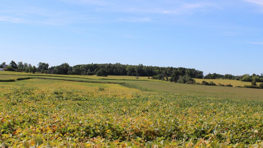 Lodi Township is located in Washtenaw County, just southwest of Ann Arbor.