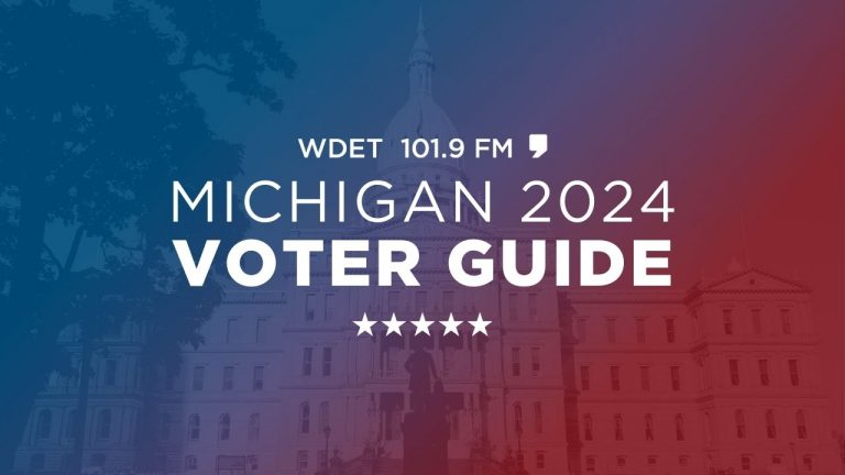 Voter Guide General Election graphic