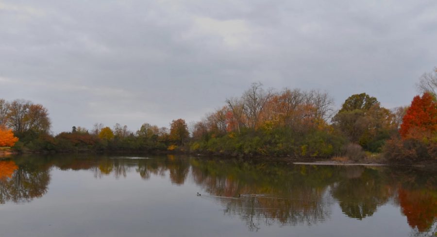 Under a portion of the state's environmental protection laws, the Michigan Department of Environment, Great Lakes, and Energy has been banned from updating rules to deal with certain kinds of water pollution. Bills to restore the agency's authority are before the lame duck session of the Legislature.