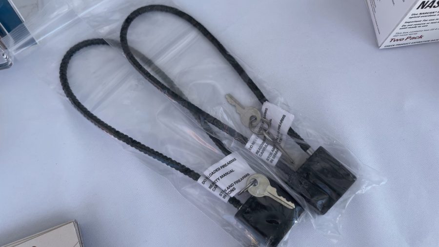 gun locks