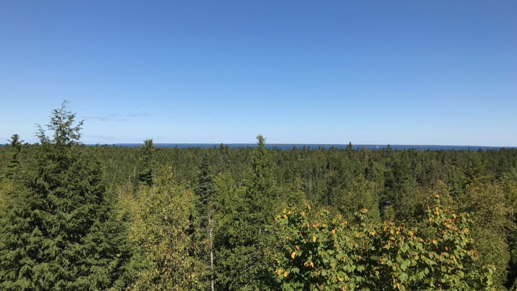 Treetops line the horizon in Northern Michigan