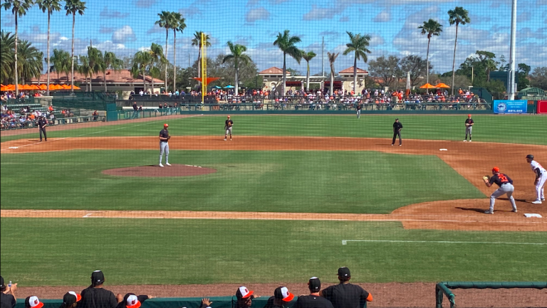 Photo of The Tigers playing at Ed Smith Stadium, the Baltimore Orioles Spring Training home in Sarasota, Fla.
