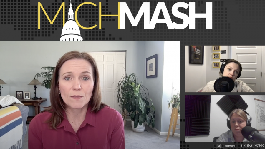 Michigan Senate Majority Leader Winnie Brinks (D-Grand Rapids) joined "MichMash" to talk about how the legislature has fared so far.