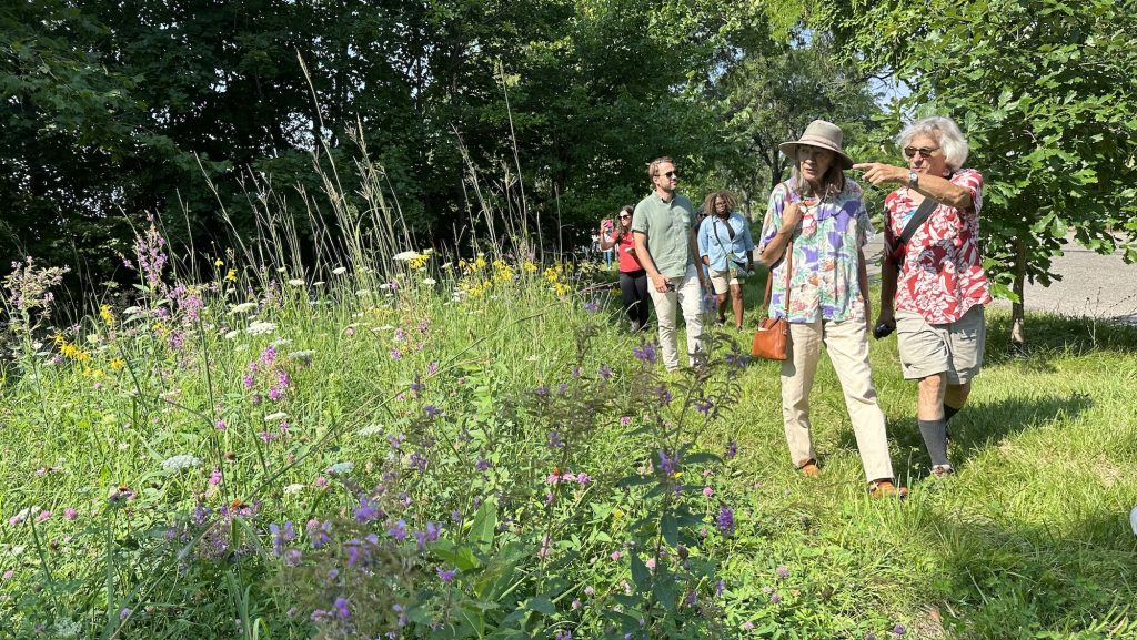 Residents walk through a native meadow established in Detroit's Poletown East neighborhood by the Detroit Bird Alliance.