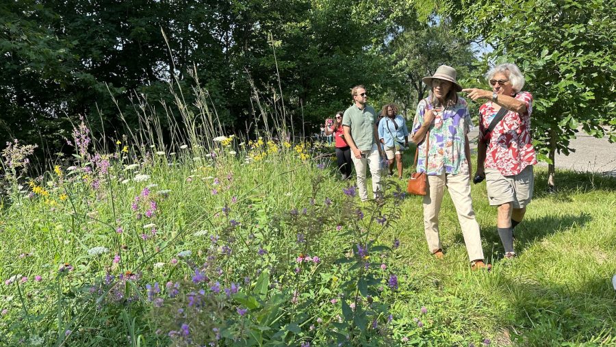 Residents walk through a native meadow established in Detroit's Poletown East neighborhood by the Detroit Bird Alliance.