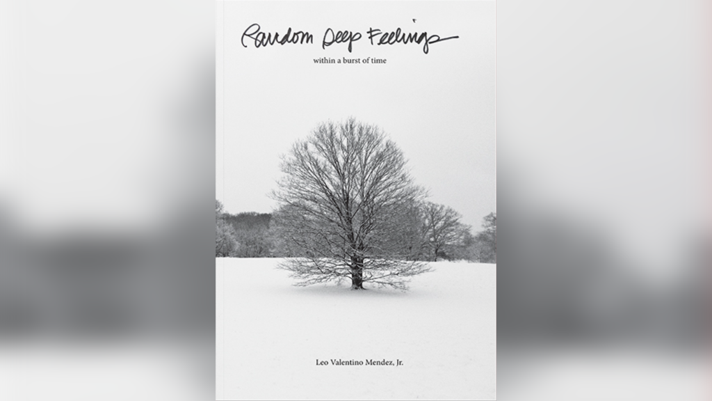 "Random Deep Feelings: Within a Burst of Time" by Leo Mendez.