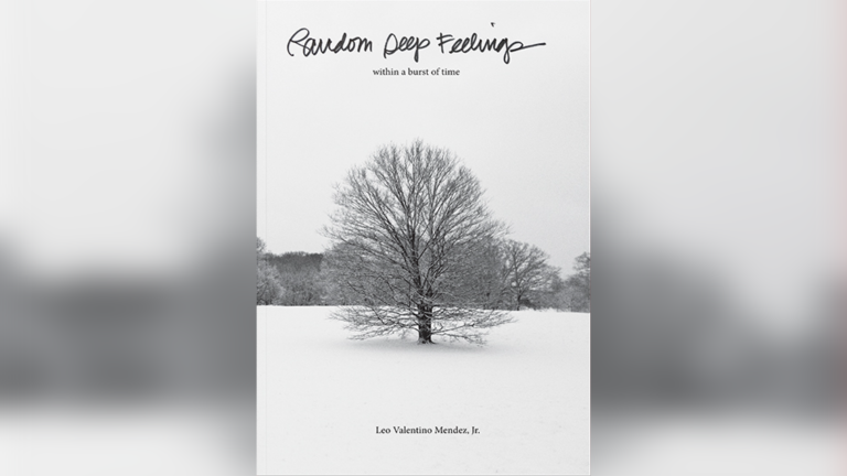 "Random Deep Feelings: Within a Burst of Time" by Leo Mendez.