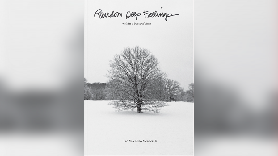 "Random Deep Feelings: Within a Burst of Time" by Leo Mendez.