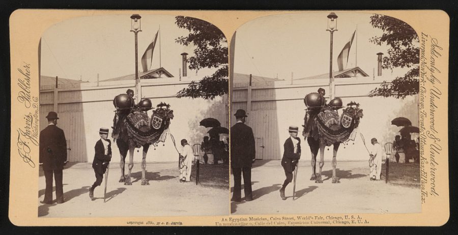 An Egyptian musician on "Cairo Street," at the World's Fair in Chicago, 1893.