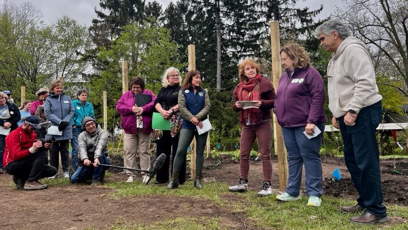 People gathered for the recent opening of a micro forest in Rochester.