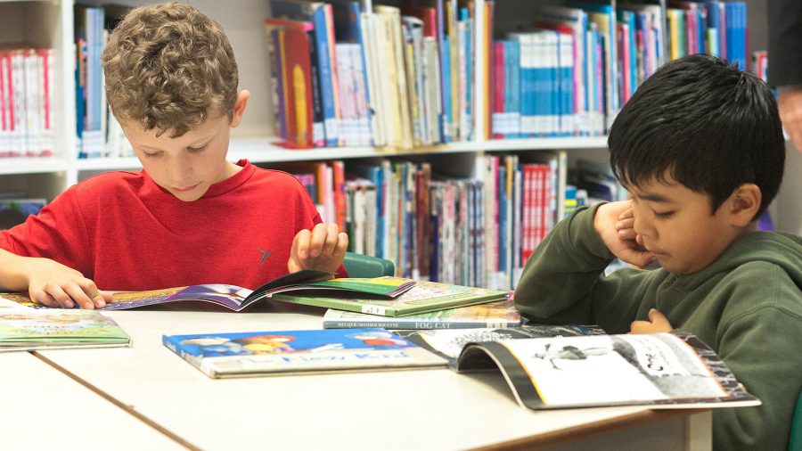Students reading in a school library.